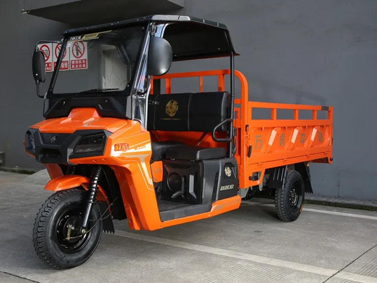 wanhoo-kingtiger-cargo-tricycle-left-side