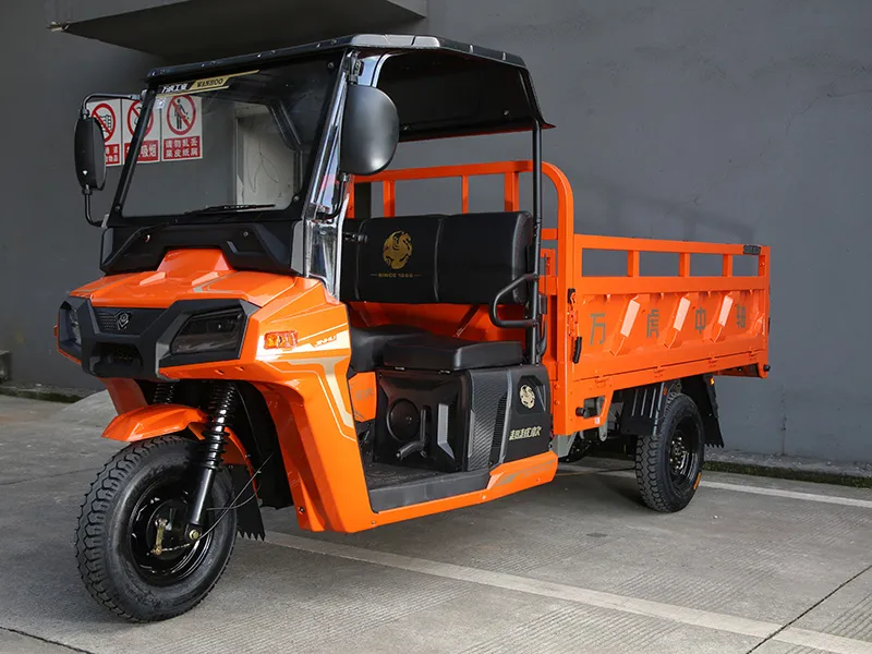 wanhoo-kingtiger-cargo-tricycle-left-side